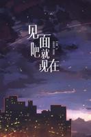 见面吧就现在电视剧免费观看