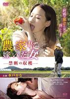 《农家妹子2》免费观看高清